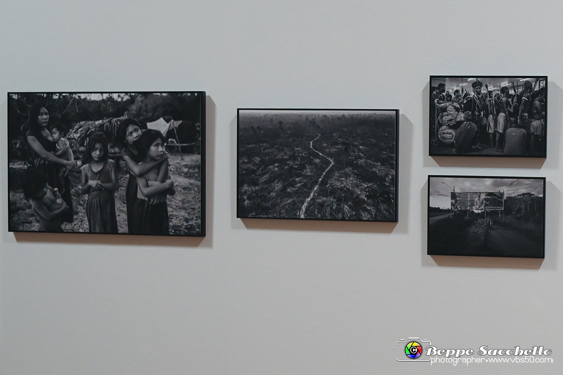 VBS_0571 - World Press Photo Exhibition 2022.jpg